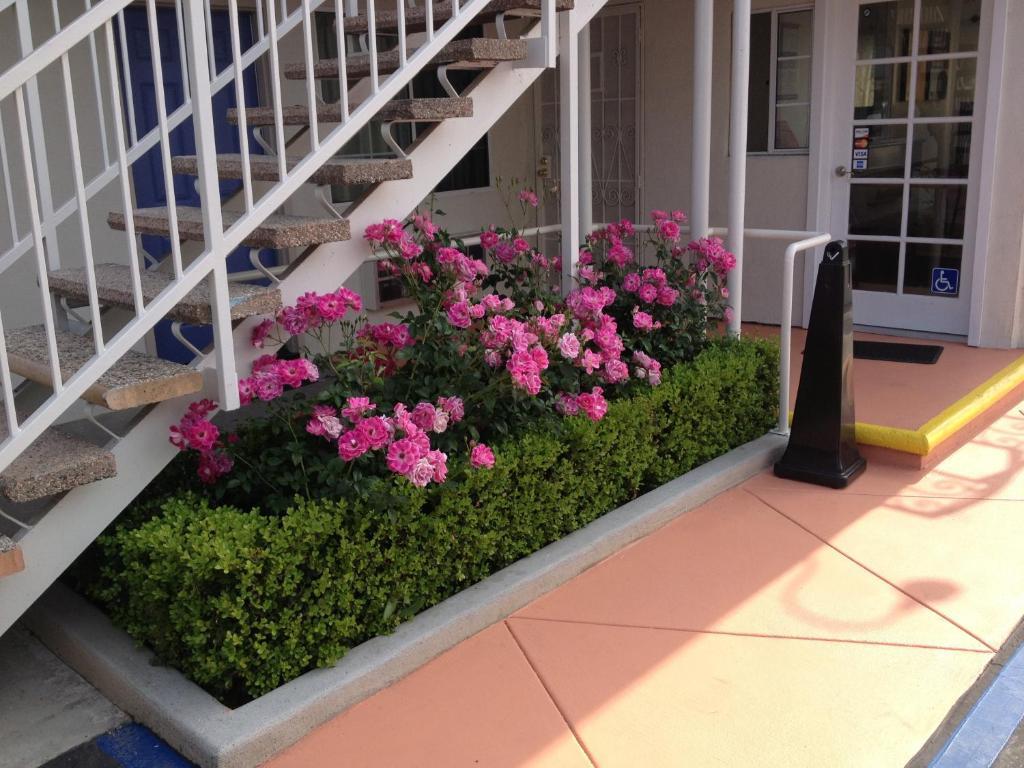 Motel 6 Gardena Extérieur photo